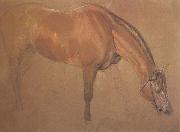 Sir edwin landseer,ra Study of a Horse (mk46) oil on canvas